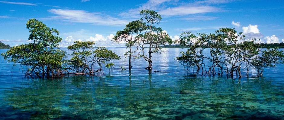 Andaman-&-Nicobar-Islands